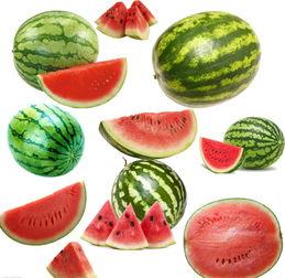 吃瓜北南,揭秘南北饮食差异背后的文化密码