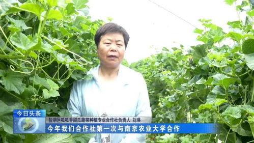 田野吃瓜,揭秘娱乐圈幕后故事