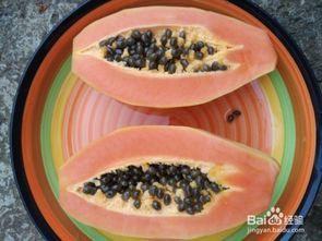 骨瓜降糖好吗怎么吃,食用指南与效果分析