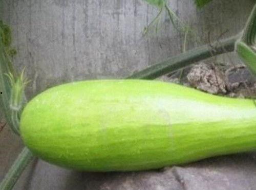 大砍瓜怎么吃,探索美味新境界