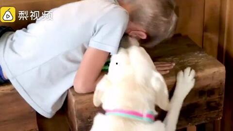 主人吃瓜的视频,一场视觉盛宴的幕后故事